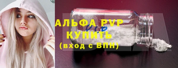 стафф Арсеньев
