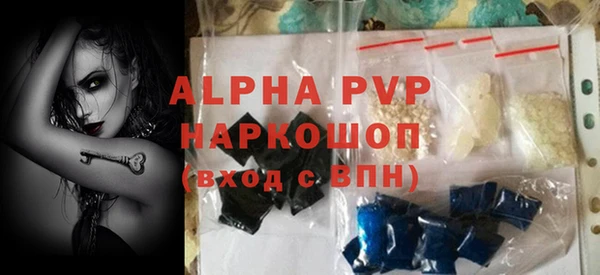 стафф Арсеньев