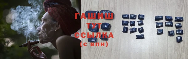 стафф Арсеньев
