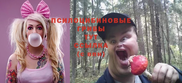дурь Армянск