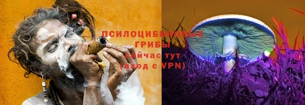 jwh Аркадак