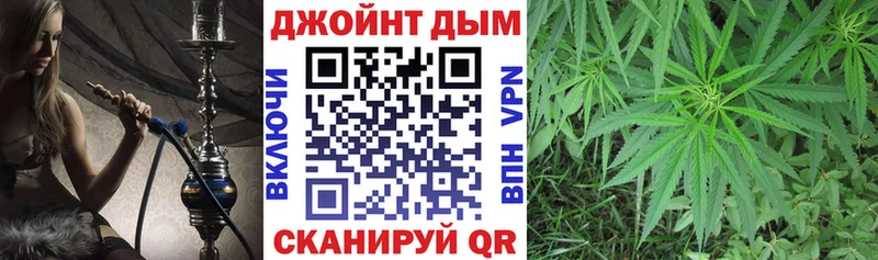 купить наркотики цена  площадка какой сайт  МАРИХУАНА конопля  Суджа 